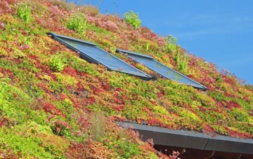 Woolfall Heath living roof systems